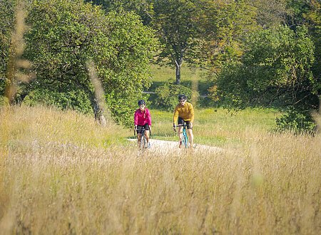 Eine Frau in rot und ein Mann in Ocker, beide mit Gravelbikes auf einem Radweg inmitten Wiesen und Felder unterwegs. Hinter ihnen ein Wald und strahlend blauer Himmel.