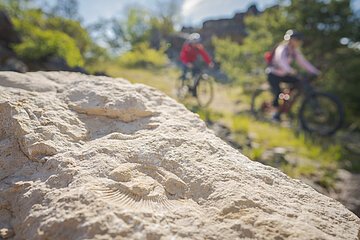 Steinbruch Treuchtlingen